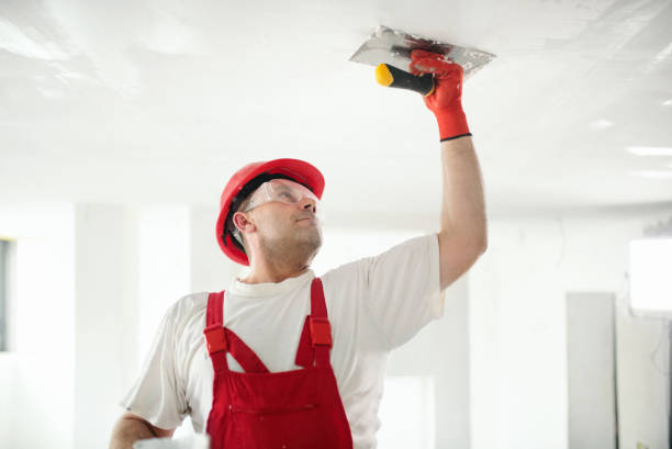 Best Drywall Sanding and Smoothing  in Audubon, NJ